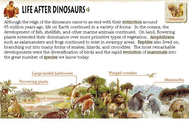 Life After Dinosaurs
