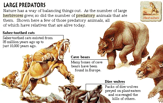 Large Predators