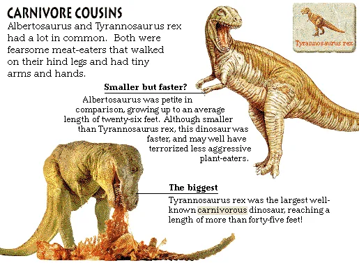 Carnivore Cousins