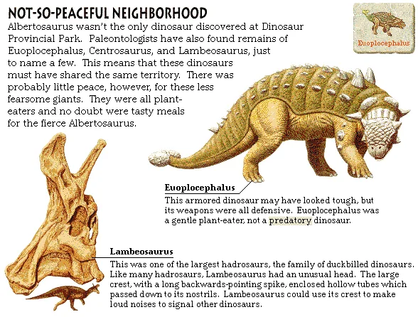 Not-So-Peaceful Neighborhood