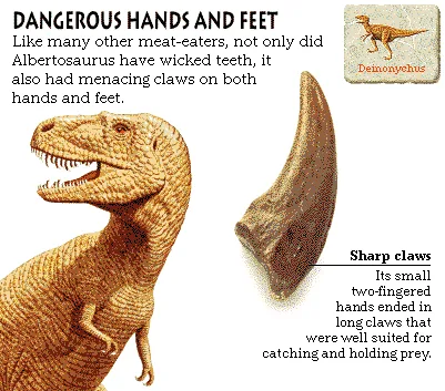 Dangerous Hands and Feet