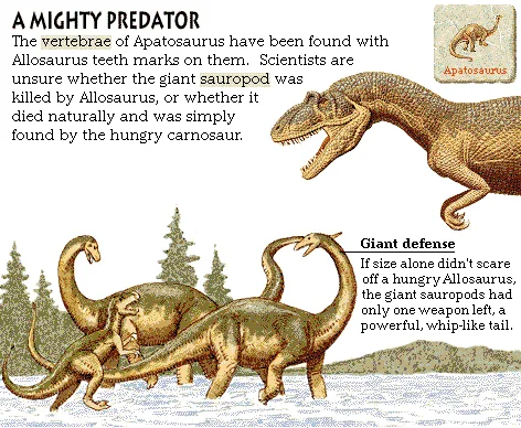 A Mighty Predator