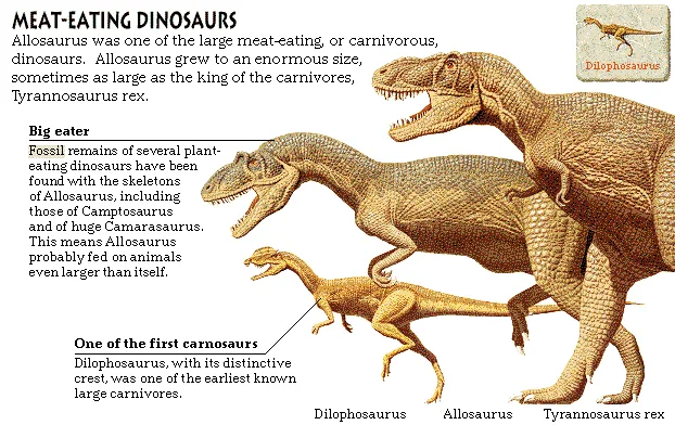 Meat-Eating Dinosaurs