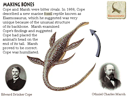 Making Bones