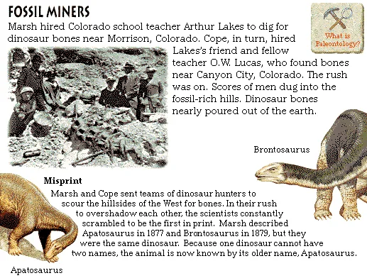 Fossil Miners