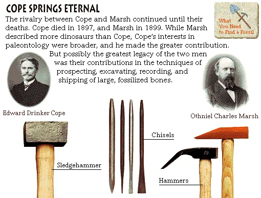 Cope Springs Eternal