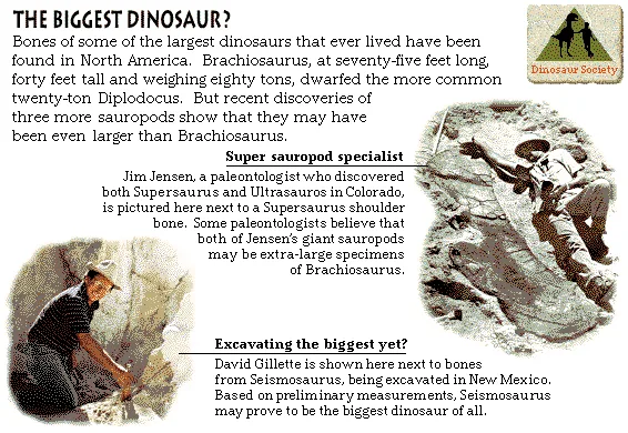 The Biggest Dinosaur?