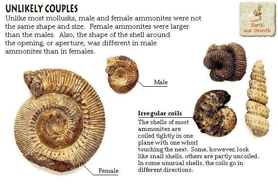 Unlikely Couples