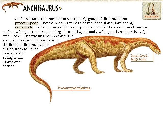 Anchisaurus