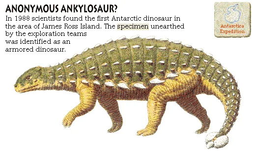 Anonymous Ankylosaur?