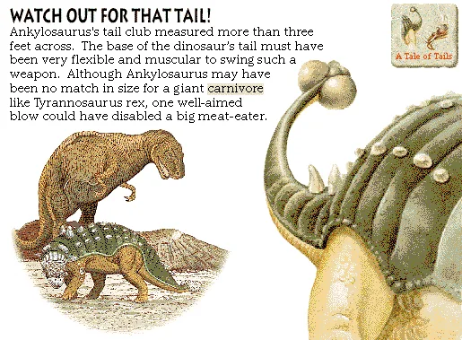 Watch Out for That Tail!