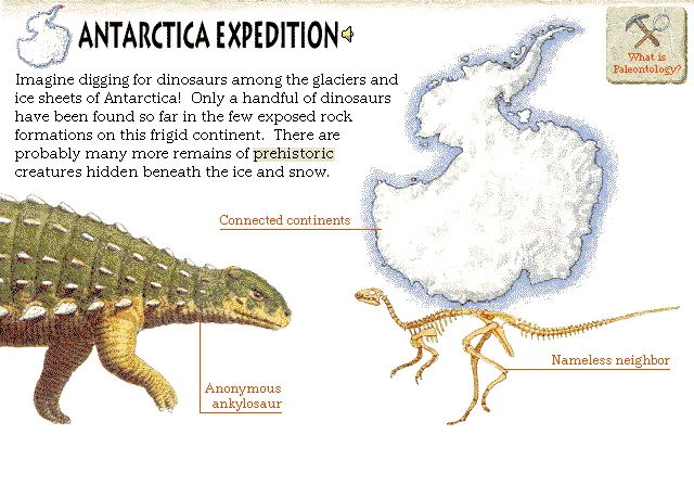 Antarctica Expedition