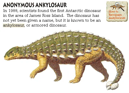 Anonymous Ankylosaur