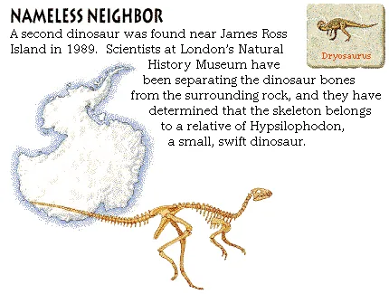 Nameless Neighbor