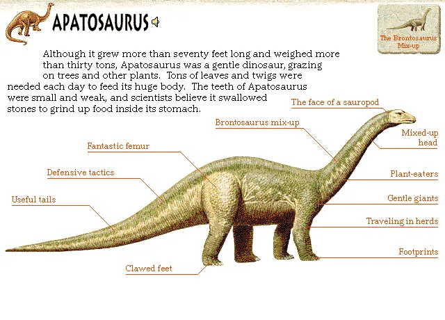 Apatosaurus