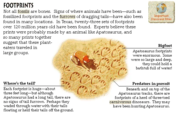 Footprints