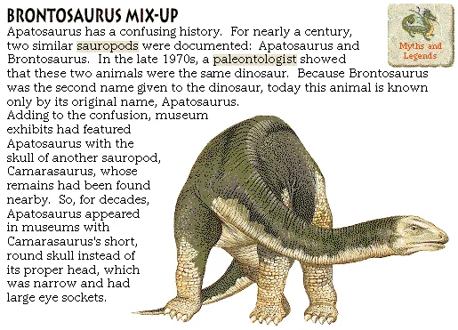 Brontosaurus Mix-Up