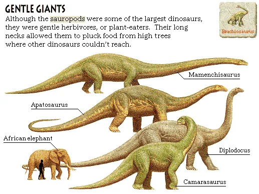 Gentle Giants