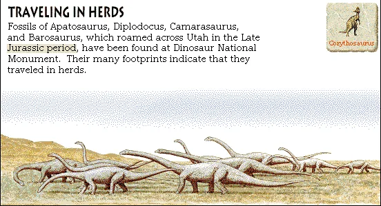Traveling in Herds