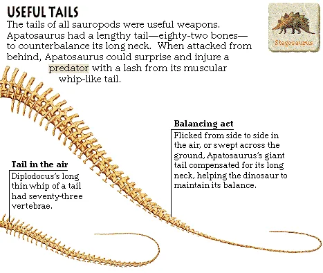 Useful Tails