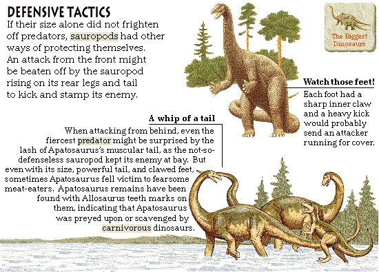 Defensive Tactics