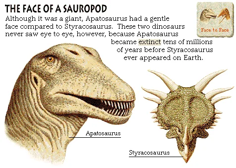 The Face of a Sauropod