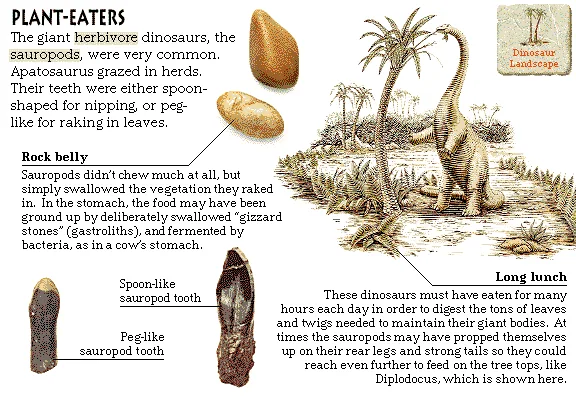 Plant-Eaters