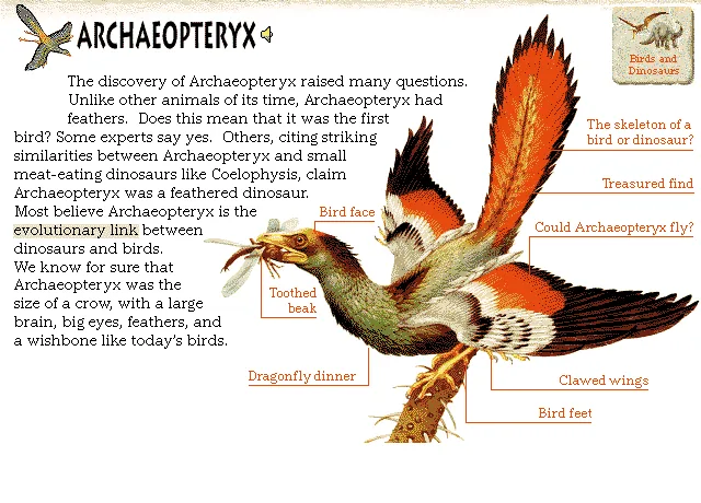 Archaeopteryx