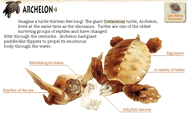 Archelon
