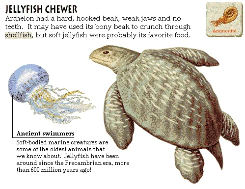 Jellyfish Chewer