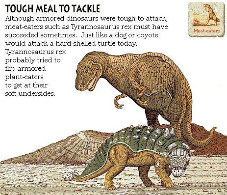 Tough Meal to Tackle