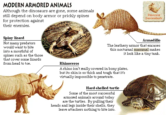 Modern Armored Animals