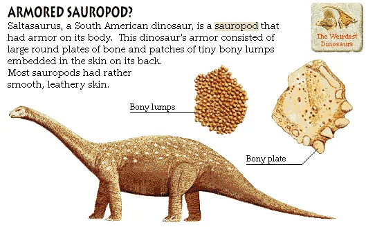 Armored Sauropod?