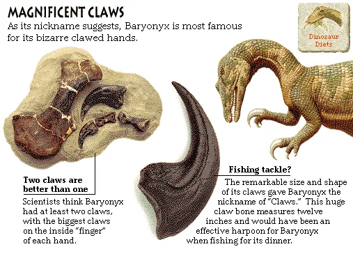 Magnificent Claws
