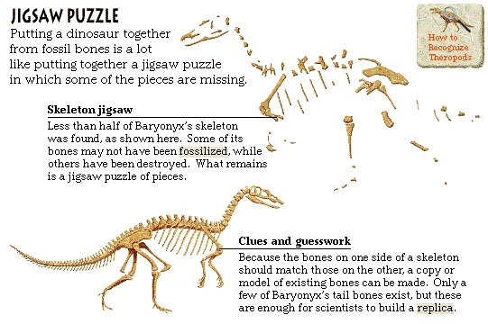 Jigsaw Puzzle