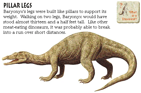 Pillar Legs