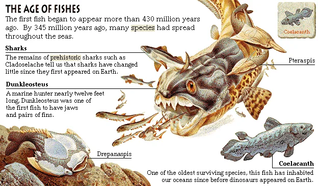 The Age of Fishes