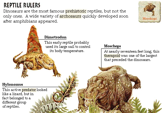 Reptile Rulers