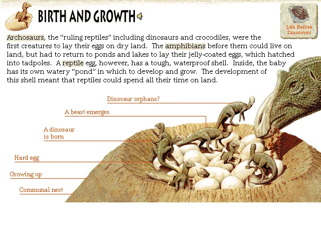 Birth and Growth