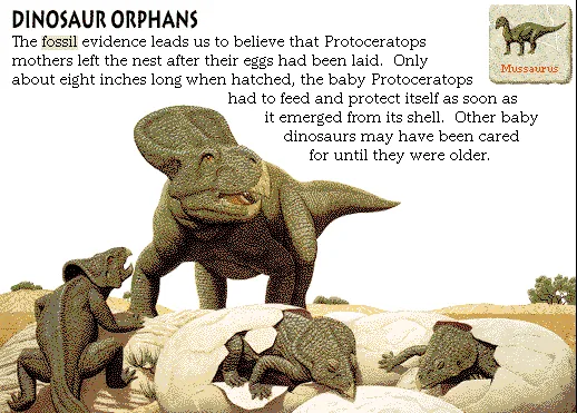 Dinosaur Orphans