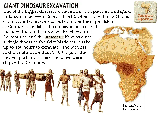 Giant Dinosaur Excavation
