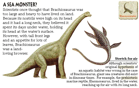 A Sea Monster?