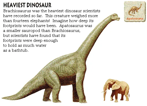 Heaviest Dinosaur