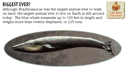 Biggest Ever?