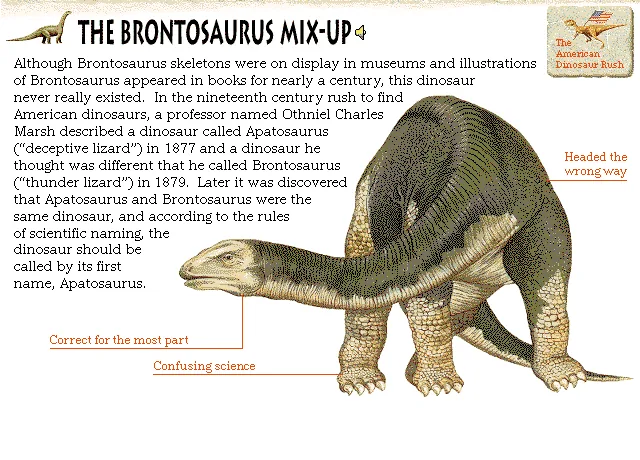The Brontosaurus Mix-Up
