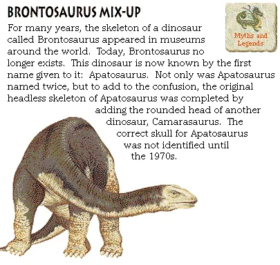 Brontosaurus Mix-Up
