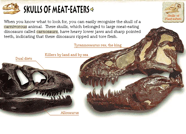 Skulls of Meat-Eaters