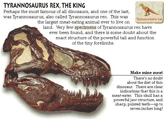 Tyrannosaurus Rex, the King