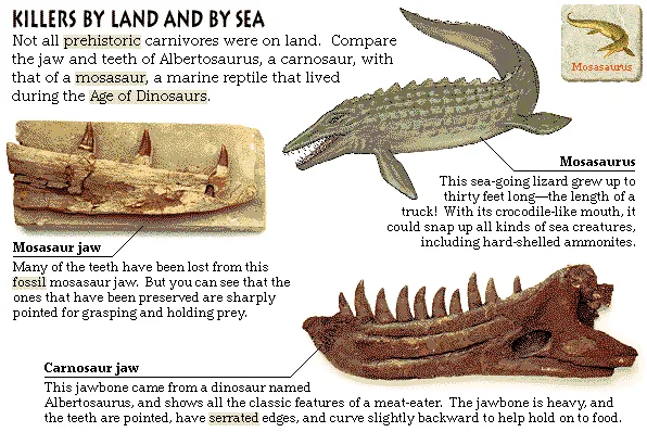 Killers by Land and by Sea