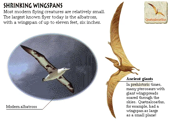 Shrinking Wingspans